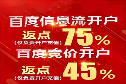 SEM代运营公司案例分析报告